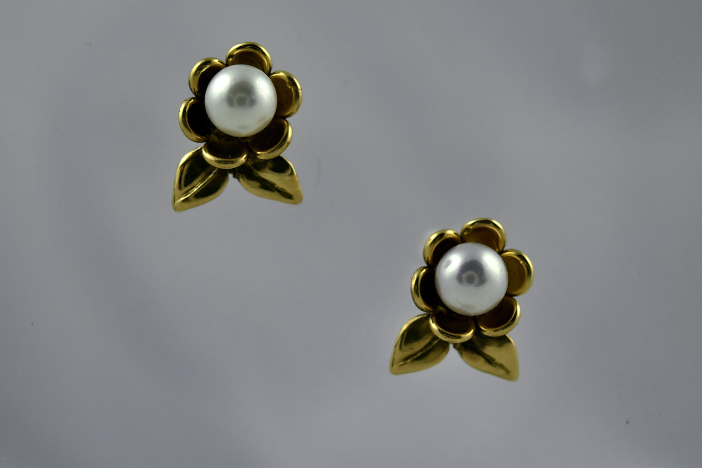 Daisy Pearl