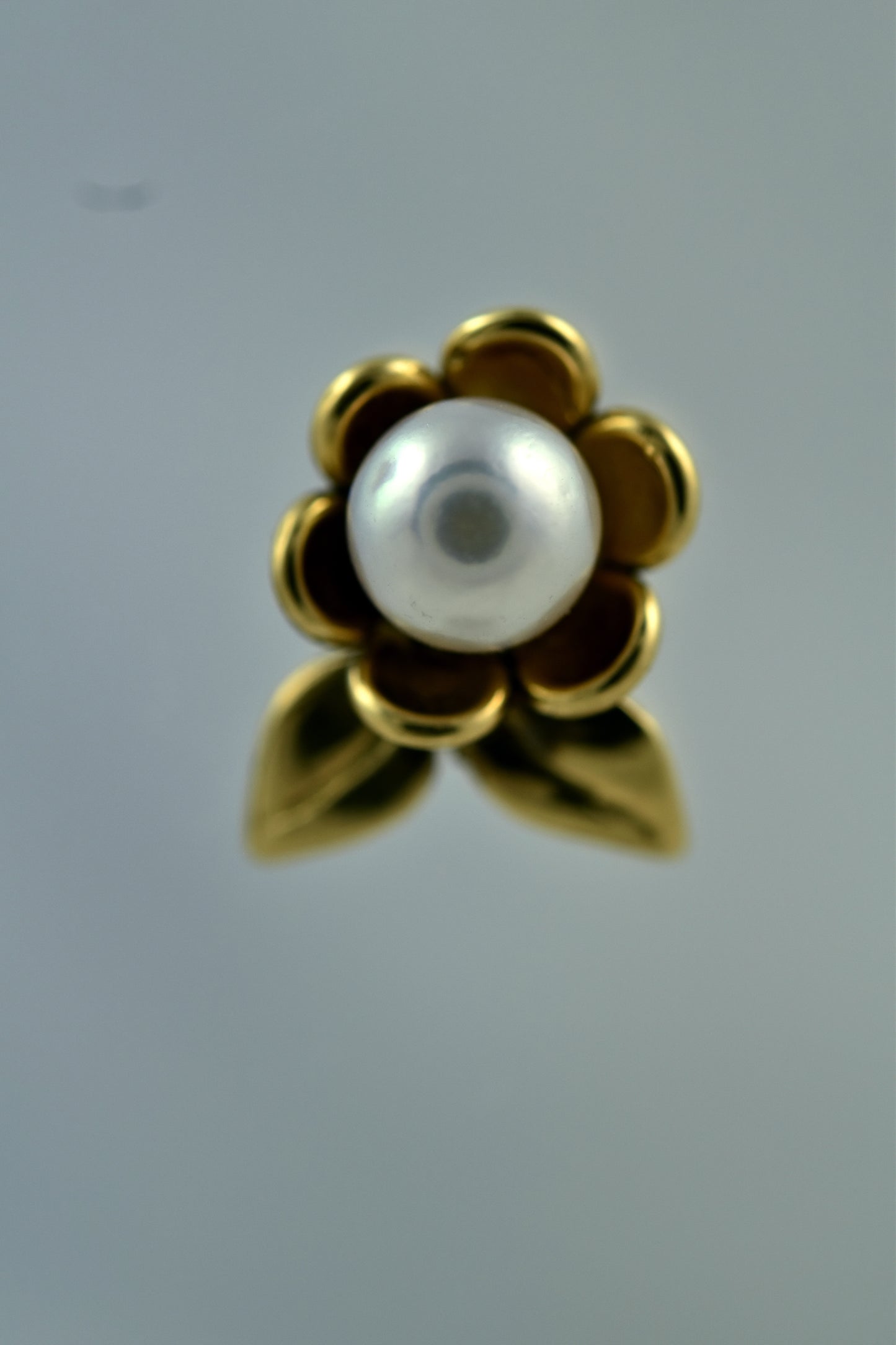 Daisy Pearl