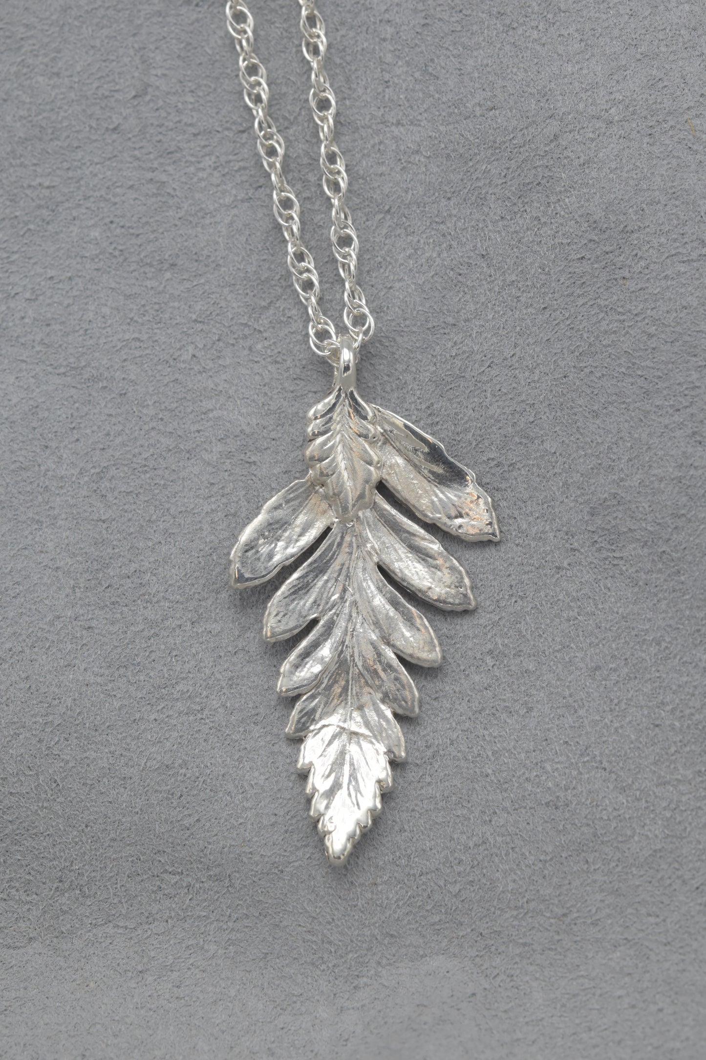 Fern Leaf