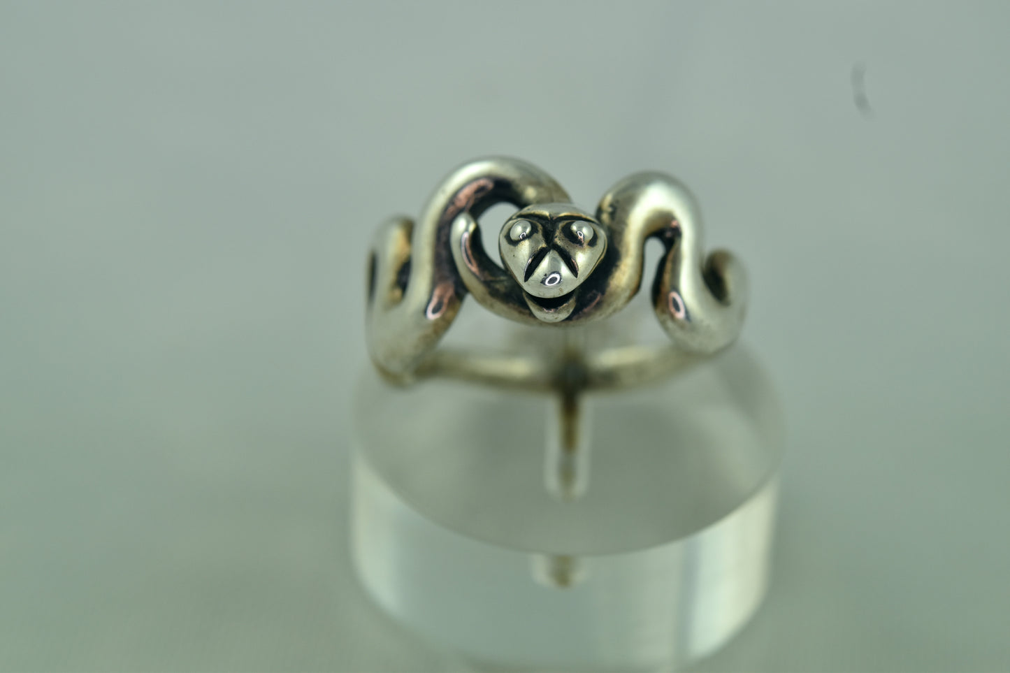 Snake Ring
