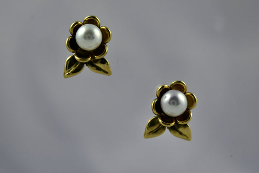 Daisy Pearl