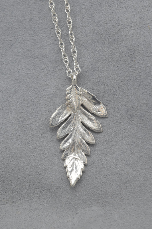 Fern Leaf